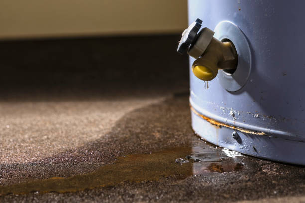 Best Carpet water damage restoration  in Longboat Key, FL
