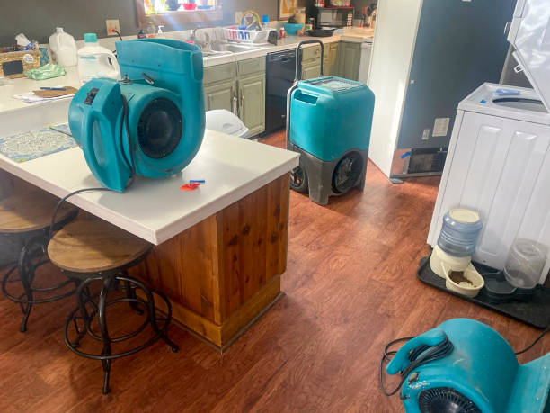 Best Local water damage restoration  in Longboat Key, FL