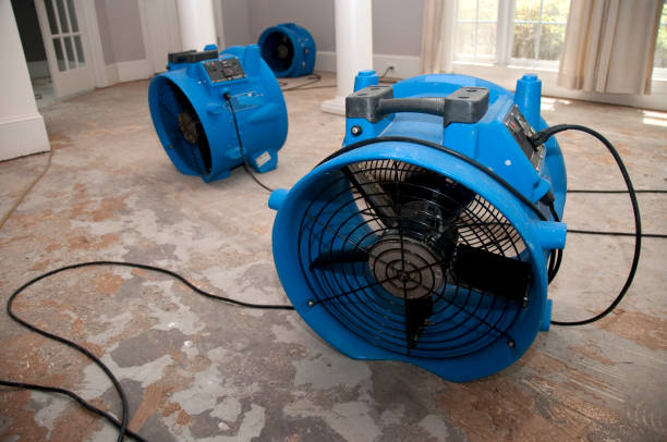 Best Flood restoration services  in Longboat Key, FL