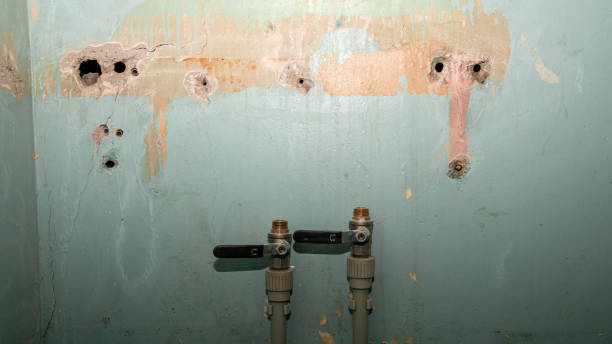  Longboat Key, FL Water damage restoration Pros