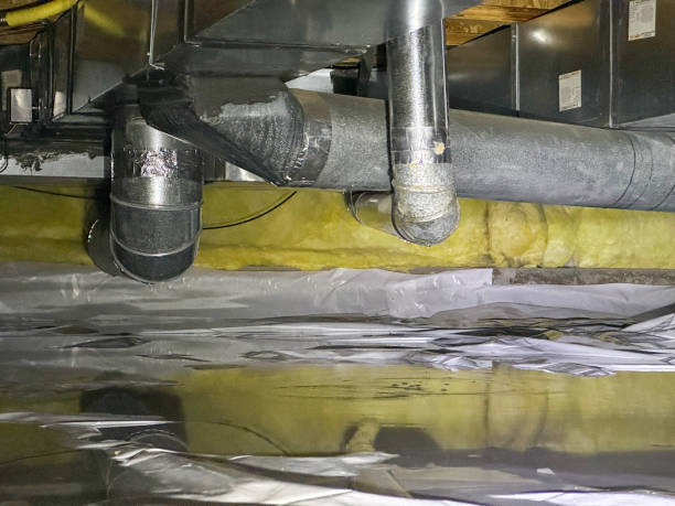 Best 24/7 water damage repair  in Longboat Key, FL