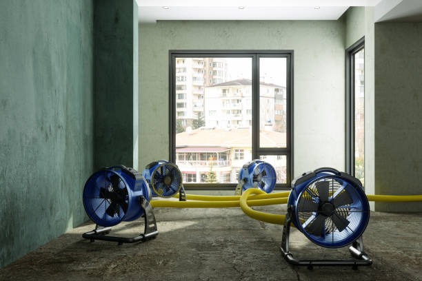 Best Water damage restoration specialists  in Longboat Key, FL